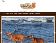 Tablet Screenshot of cobrizaridgebacks.com